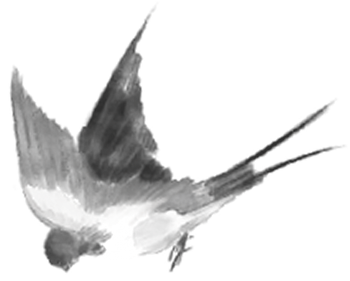 1000201701.png