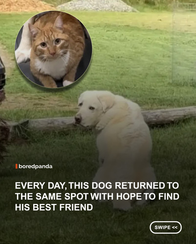 swipe to read.jpg