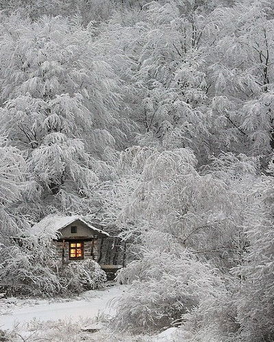 tiny house fairytale nature landscape photography 25 880.jpg
