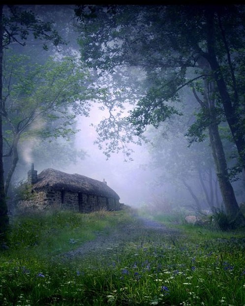 tiny house fairytale nature landscape photography 19 880.jpg