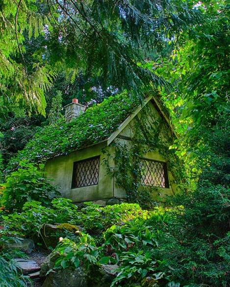 tiny house fairytale nature landscape photography 28 880 (1).jpg