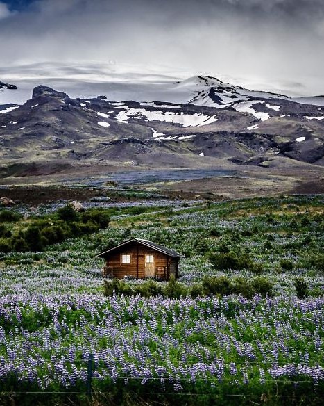 I was  driving on Iceland's Route 1 Ring Road and snapped this picture from the window while driving.jpg