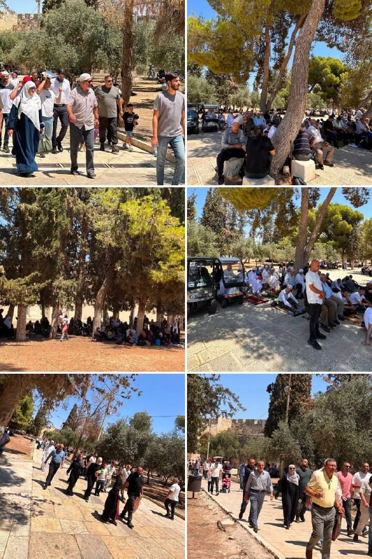 صور من توافد المصلين لأداء صلاة الجمعة في المسجد الأقصى المبارك....