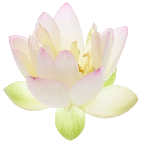 6fe60066aa0d6cb79b95037fb33c169e.png