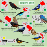 Bush (Loslopers 1)