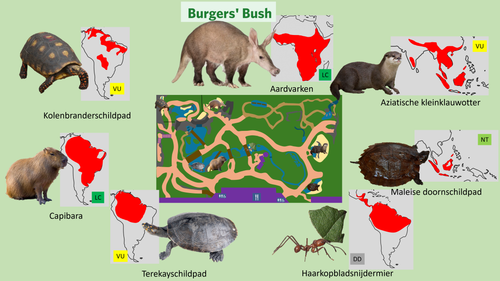 Bush (Verblijven).png