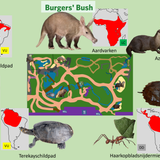 Bush (Verblijven)