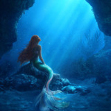 the little mermaid 3840x3840 8945