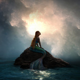 the little mermaid 5120x5120 10860