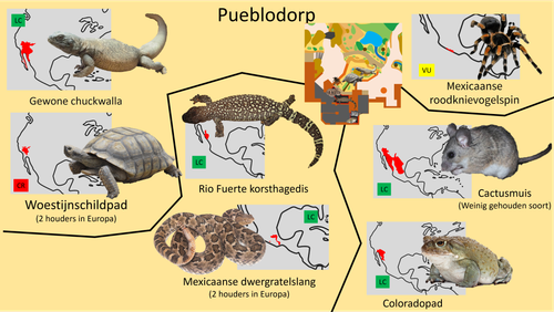 Desert (Pueblo dorp).png