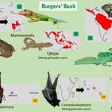 Bush (Loslopers 4)
