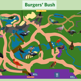 Bush (Zoekgids)