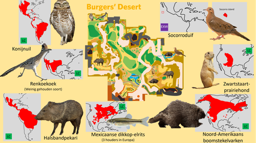 Desert (Verblijven).png