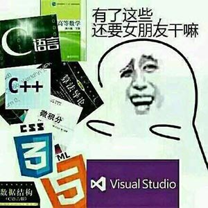 程序员反应图:有了这些还要女朋友干嘛