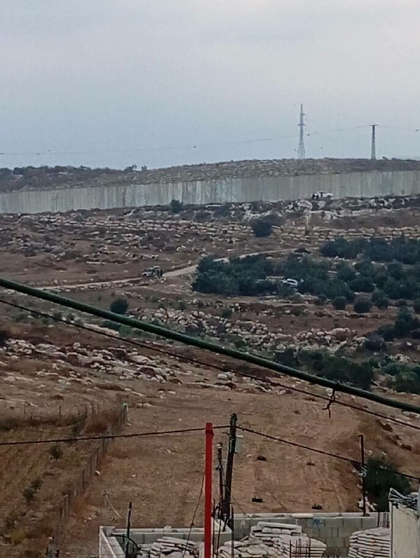 صورة الخبر