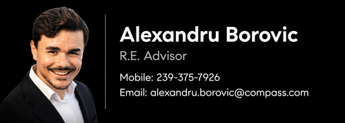 alexandru signature.png