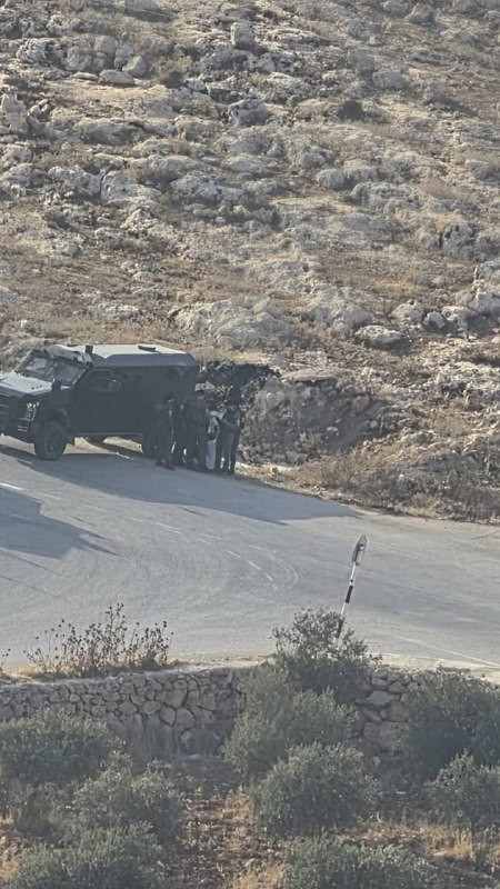صورة الخبر