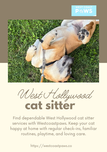 West Hollywood cat sitter.png