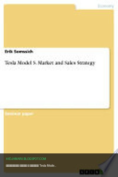 Обложка книги «Стратегия рынка и продаж Tesla Model S.» - Erik Somssich