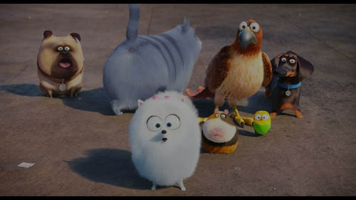 (2016 06 18) The Secret Life of Pets Captura 2.jpg