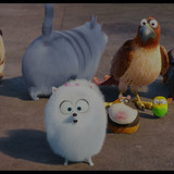(2016 06 18) The Secret Life of Pets Captura 2