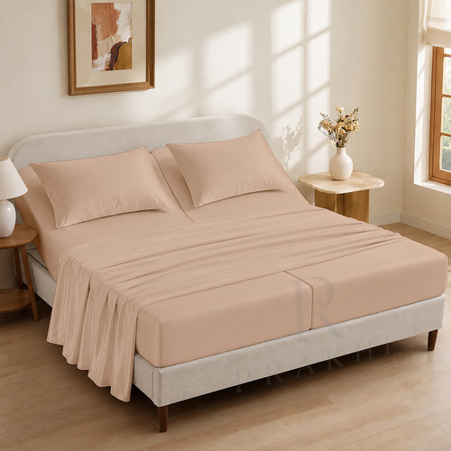 Bear Beige (5).jpg