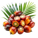 Logo Sawit.png