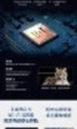 翻译后详情图0 15.jpg