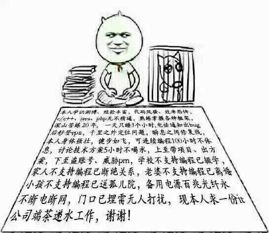 程序员系列表情:全能