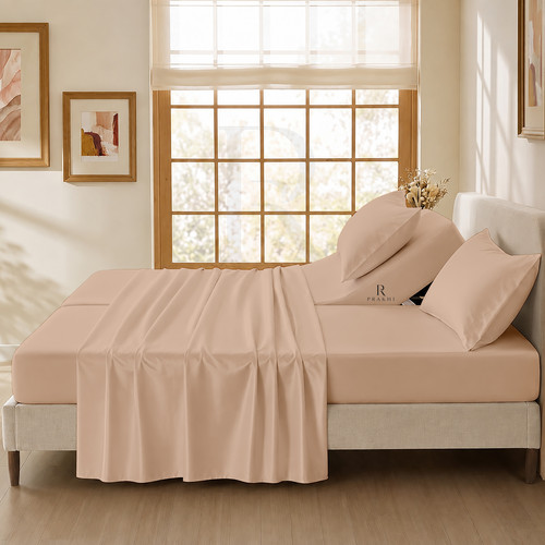 Bear Beige (6).jpg