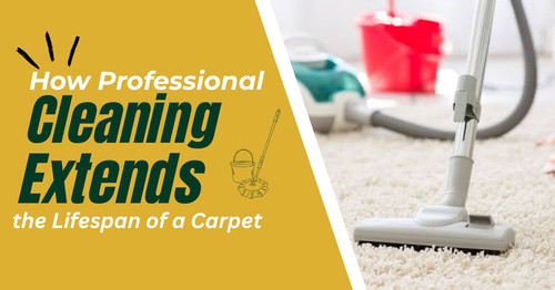 How Professional Cleaning Extends the Lifespan of a Carpet.jpg