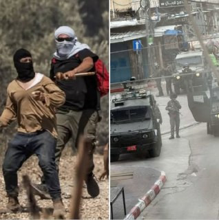 صورة الخبر