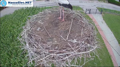 MWSnap145.jpg