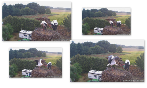 Bilder11.jpg