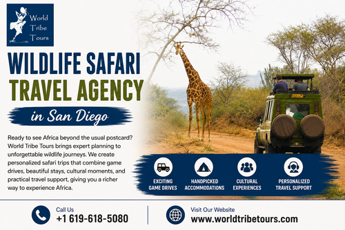 Unforgettable Wildlife Safari Adventures.png