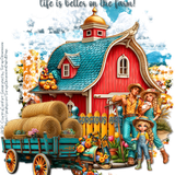 SD Country Comfort Gorgeous Arie MP26