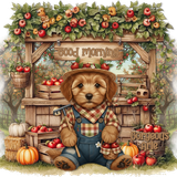 Tag Theme Country GArie
