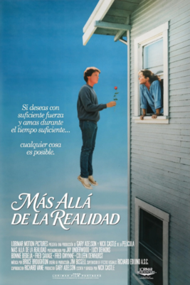 The Boy Who Could Fly [1986] [DVD9-R1] [Latino]