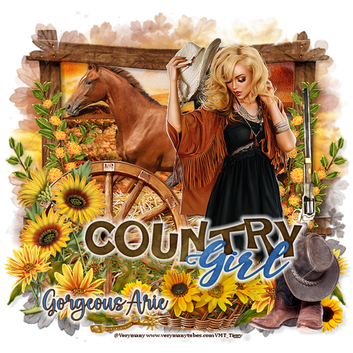 CountryGirl TigzGorgeousArie vi