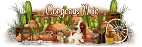 ShesACowgirlBannerGorgeousArie vi