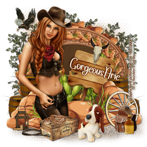 ShesaCowgirlTagGorgeousArie vi