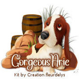 shesacowgirlavGorgeousarie vi