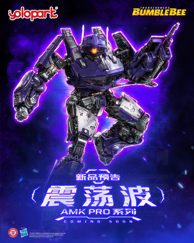 a00