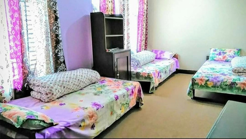 PG beds.jpg