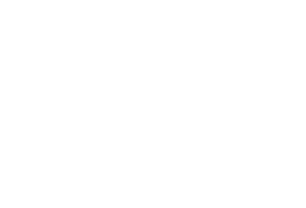 foxnew2.png
