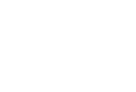 foxnew3.png