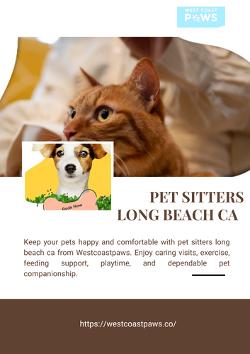 pet sitters long beach ca (1).png