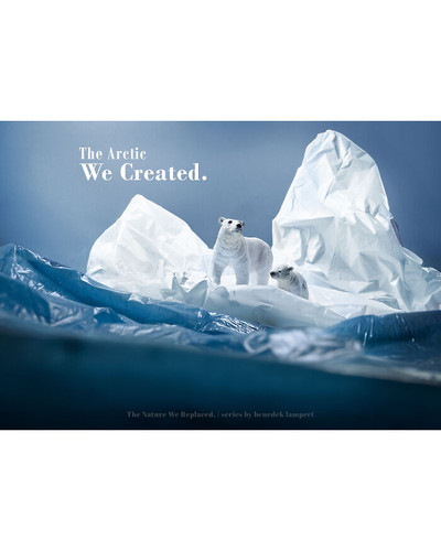 benedek lampert The Arctic wm 6a8815e7281ba 700 bordered.jpg