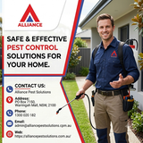 Safe & Effective Pest Control Solutions For Your Home.png