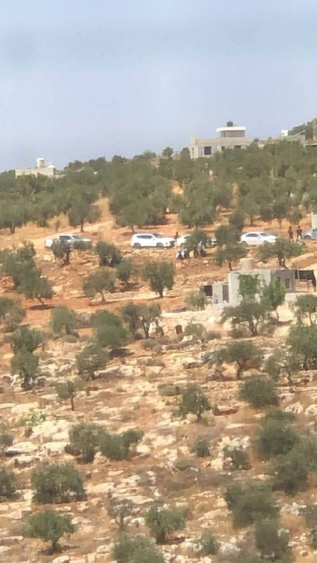 صورة| قوات الاحتلال ومليشيات المستوطنين تحتجز عددًا من الأهالي وطاقم بلدية بيت فوريك في المنطقة الشرقية من بلدة بيت فوريك شرق نابلس وتعتدي عليهم بالضر...